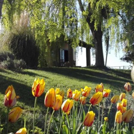 Agriturismo Quartopodere Villa Magliano in Toscana Kültér fotó