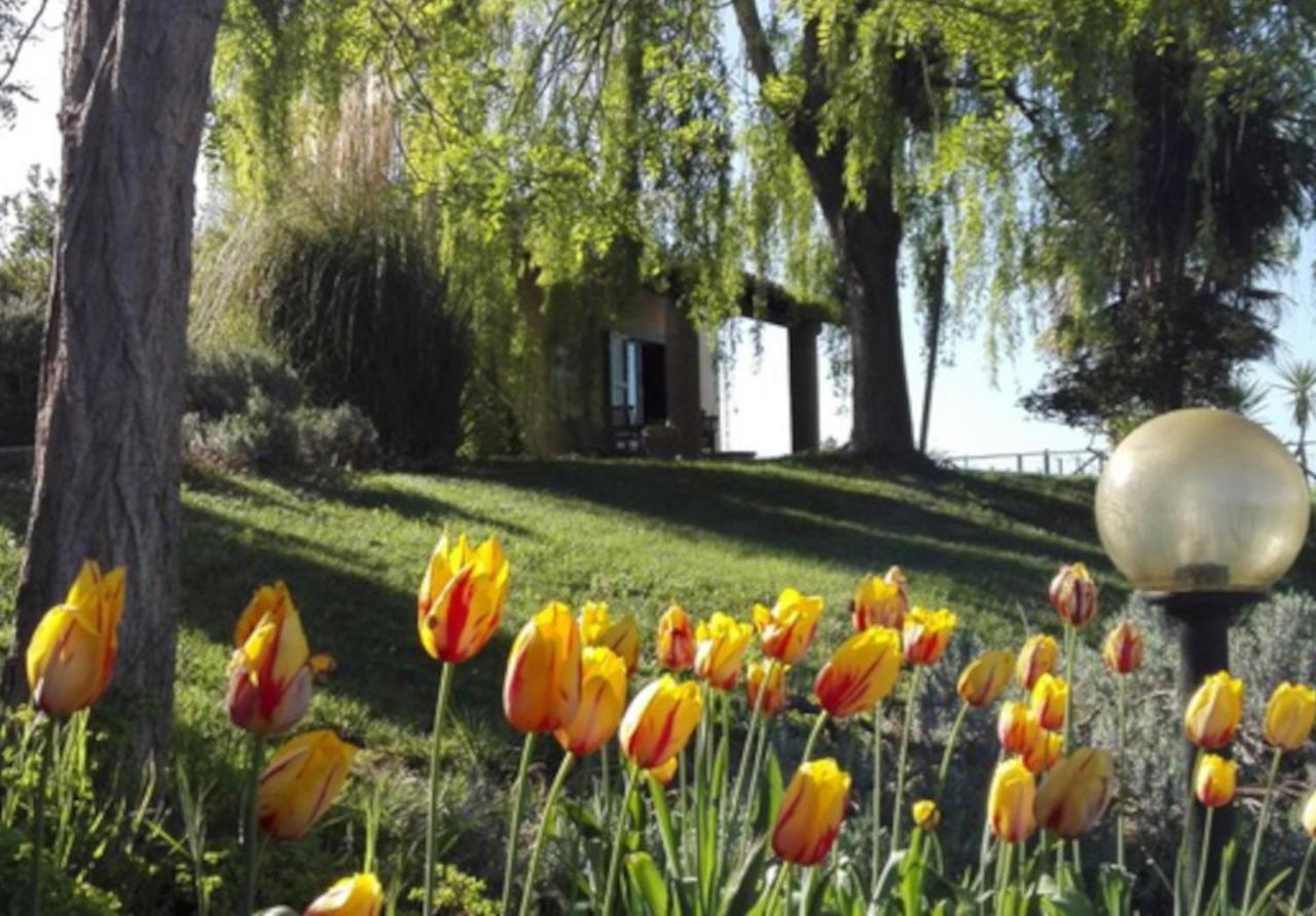 Agriturismo Quartopodere Villa Magliano in Toscana Kültér fotó