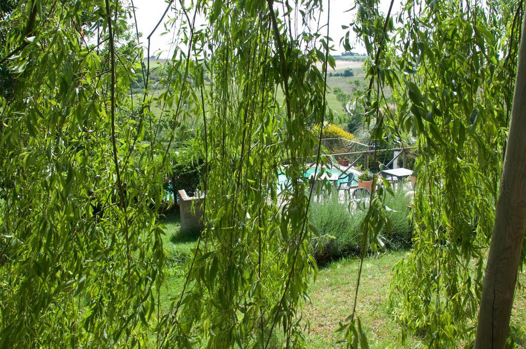 Agriturismo Quartopodere Villa Magliano in Toscana Kültér fotó