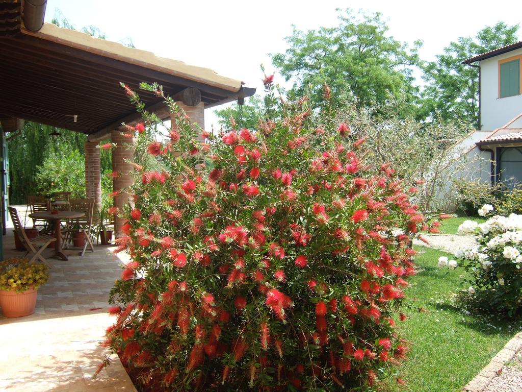 Agriturismo Quartopodere Villa Magliano in Toscana Kültér fotó